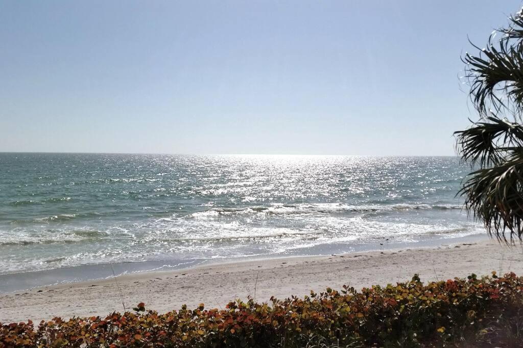 Irb Surf House Waterfront Oasis+ Sunshine +Fun Kayaks Villa Clearwater Beach Exterior photo