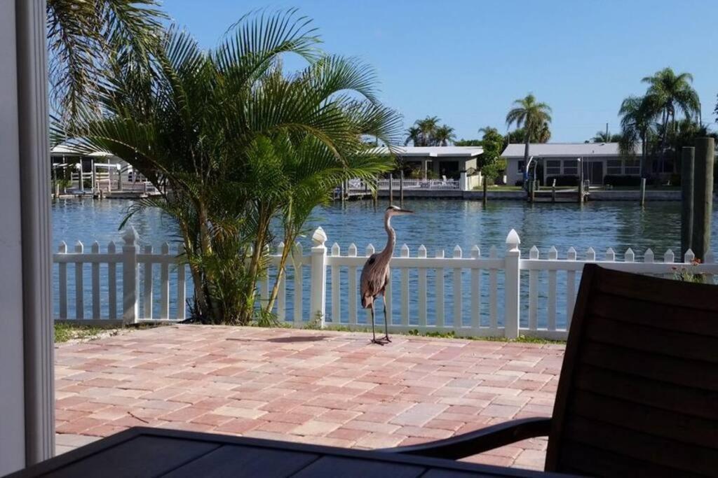 Irb Surf House Waterfront Oasis+ Sunshine +Fun Kayaks Villa Clearwater Beach Exterior photo