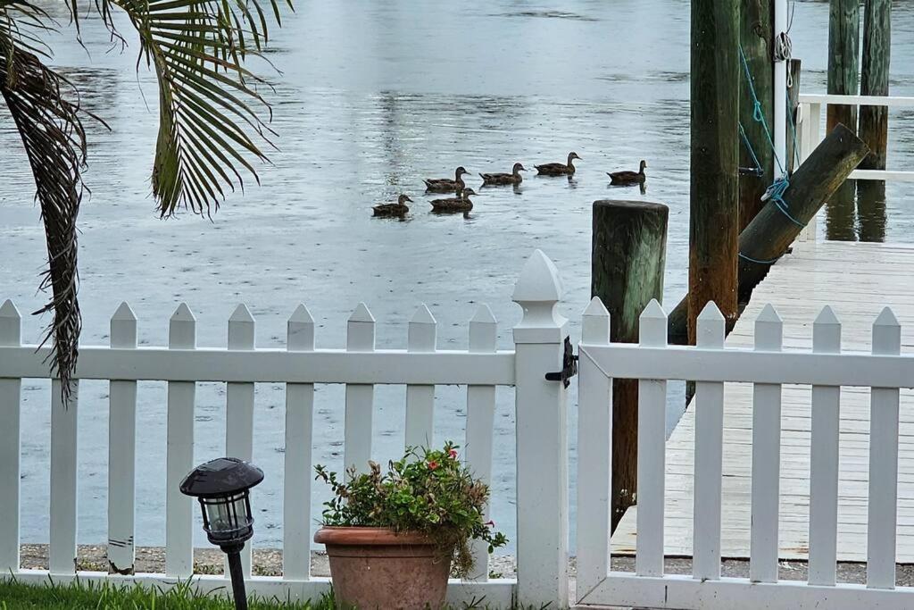 Irb Surf House Waterfront Oasis+ Sunshine +Fun Kayaks Villa Clearwater Beach Exterior photo